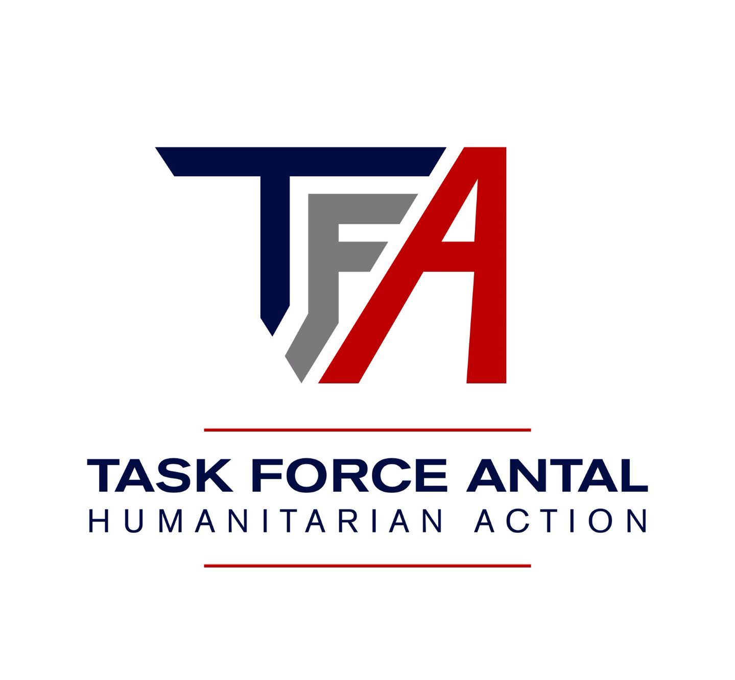 Task Force Antal